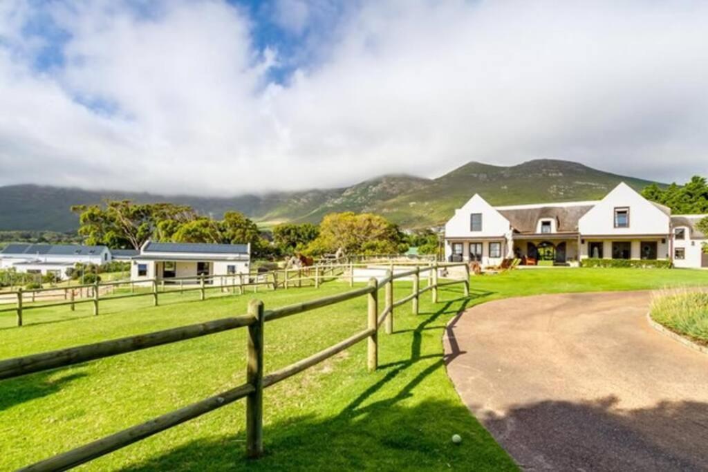 Serene, Thatched Apartment In Noordhoek, Kapstaden Eksteriør billede